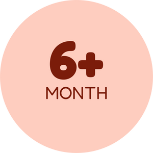 6 Month +